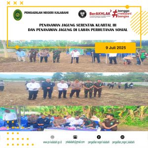PENANAMAN JAGUNG SERENTAK KUARTAL III
